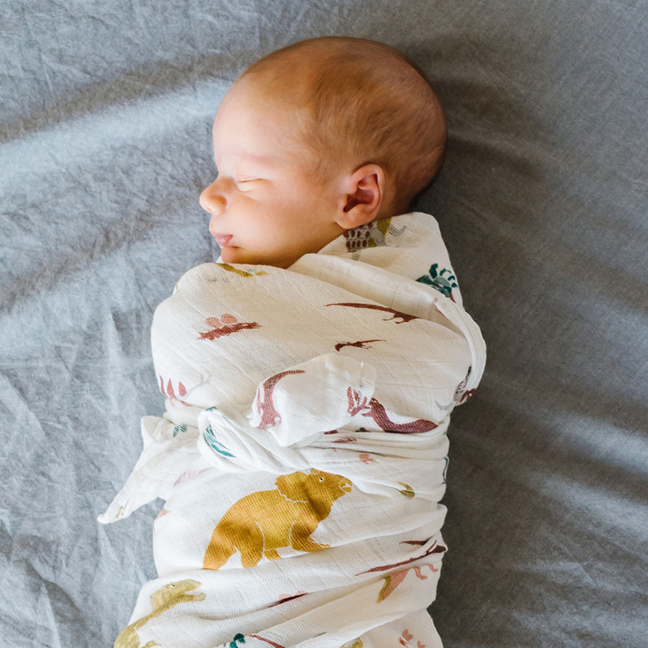 Organic Cotton Muslin Swaddle Blanket 2 Pack - Dino Days Set