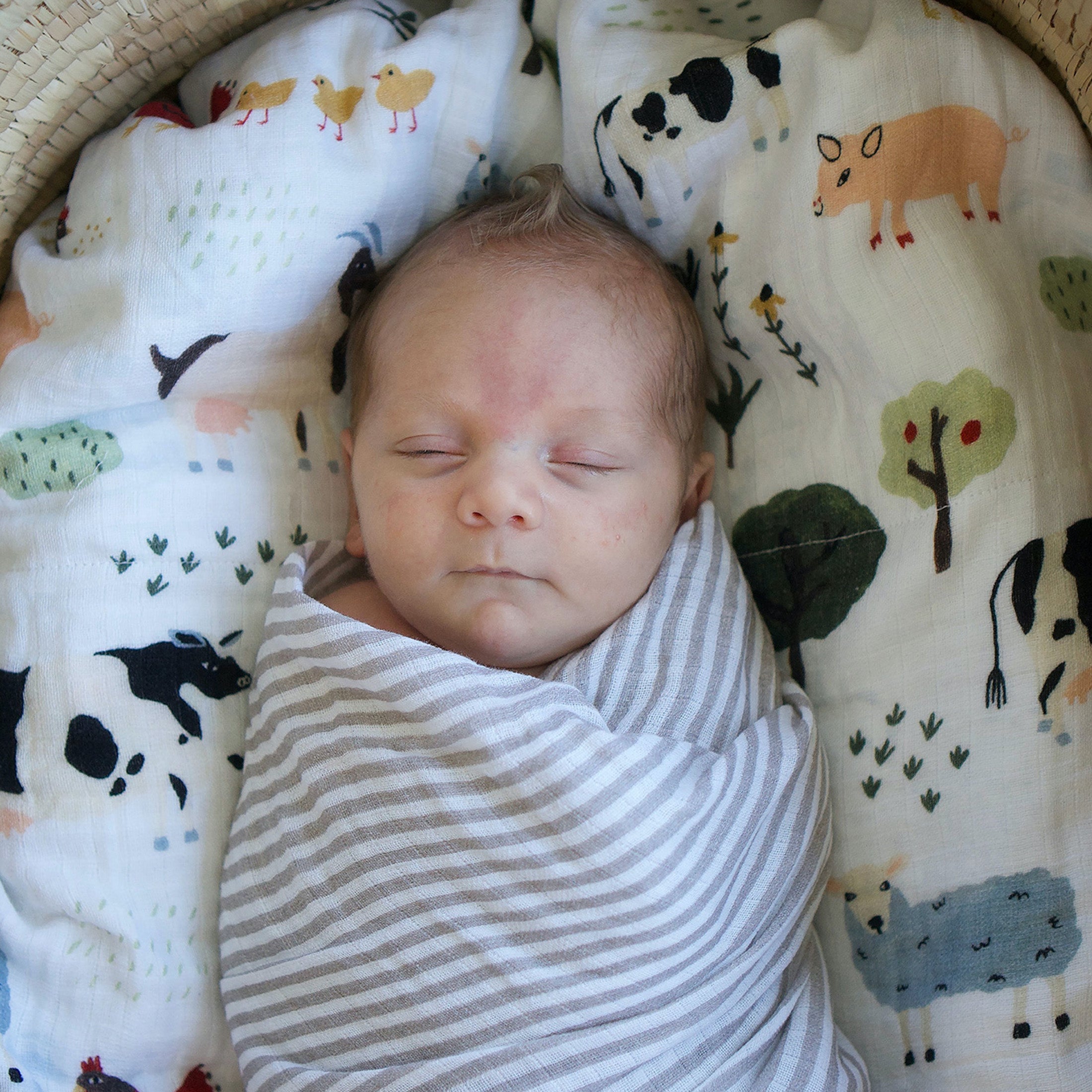 Organic Cotton Muslin Swaddle Blanket 2 Pack - Family Farm Set