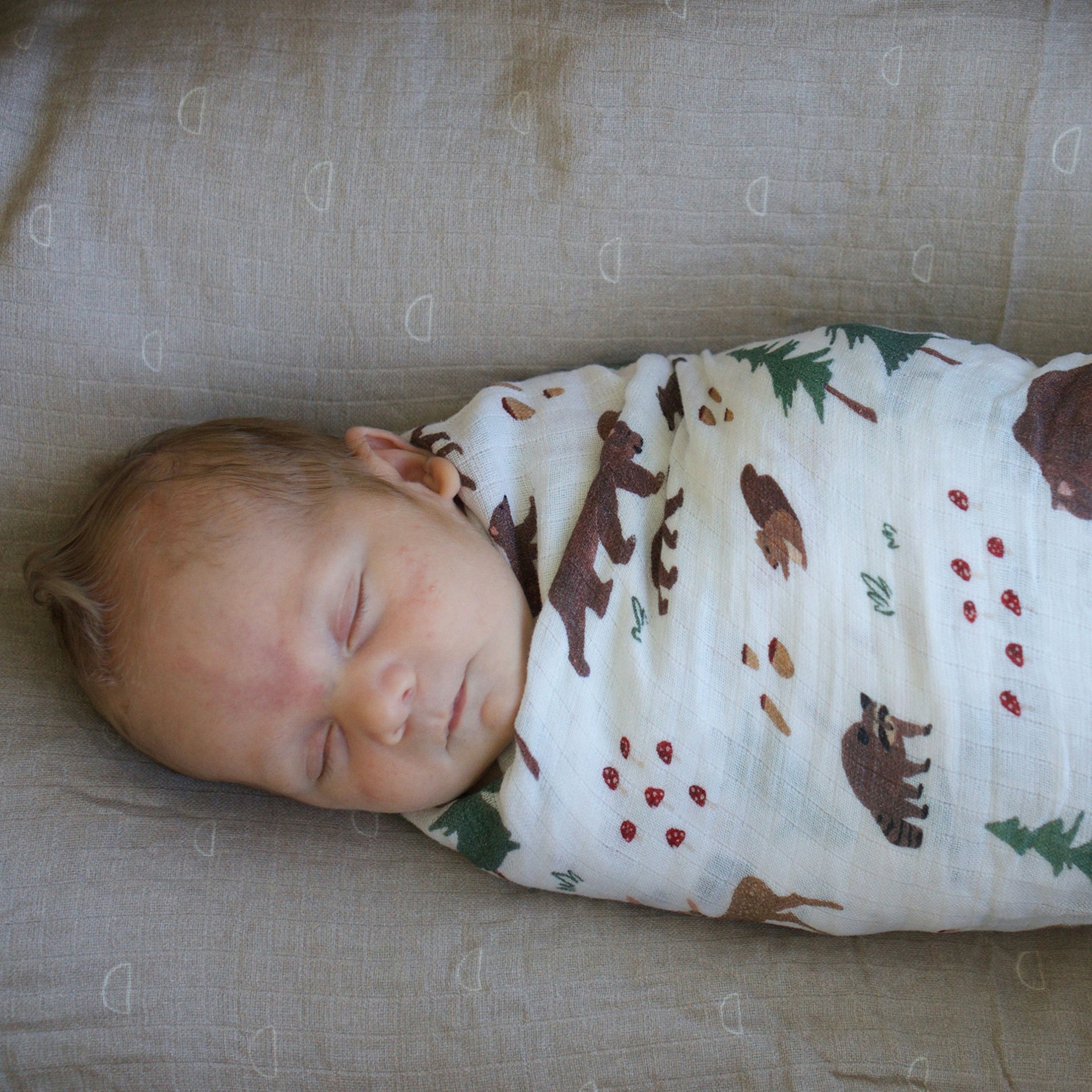 Organic Cotton Muslin Swaddle Blanket 2 Pack - Bear Buddies Set