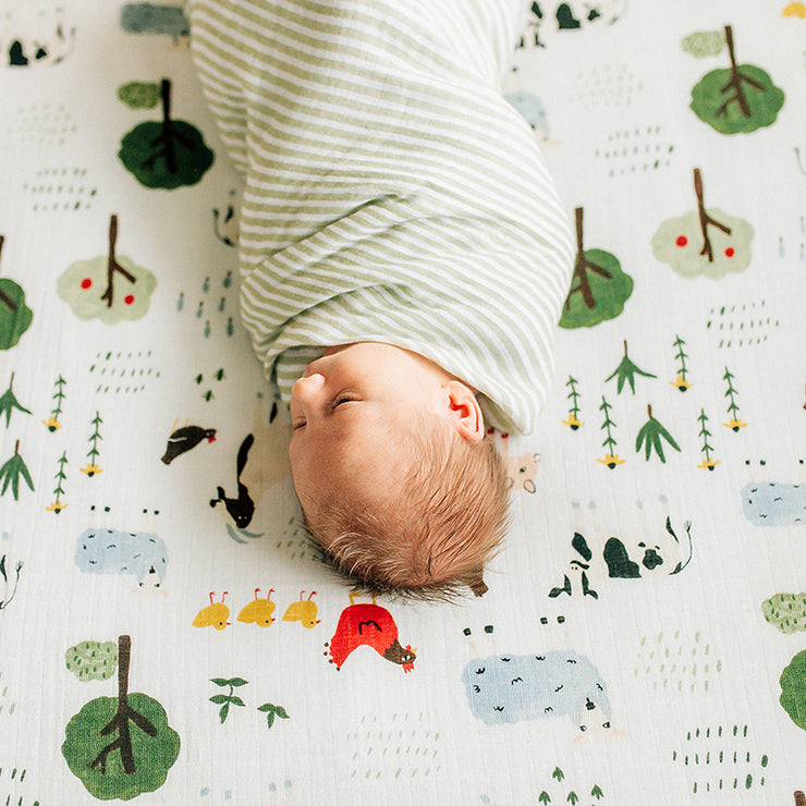 sleeping baby swaddled in a green stripe blanket laying on a family farm crib sheet