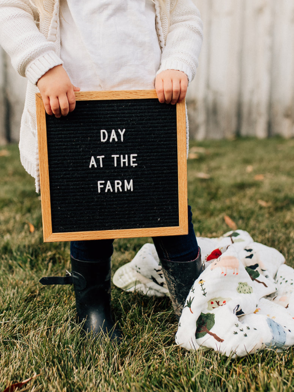 Organic Cotton Muslin Baby Quilt - Family Farm