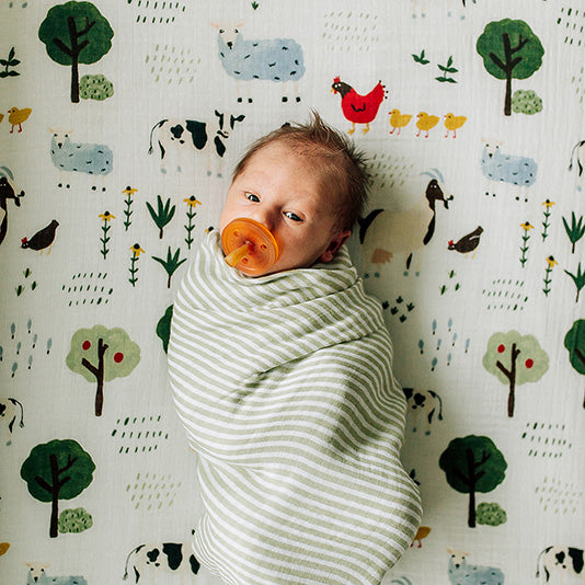 baby swaddled in a green stripe blanket laying on a family farm crib sheet