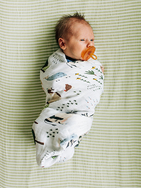 Organic Cotton Muslin Swaddle Blanket - Family Farm